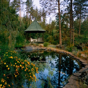Chateau du Sureau en Yosemite 