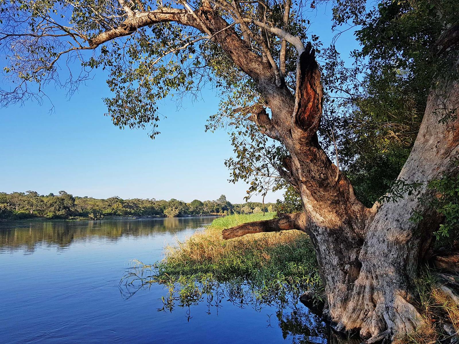 Tsowa Safari Island en Zambezi National Park