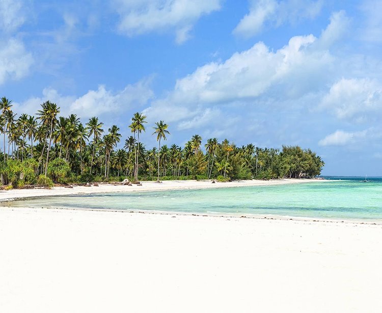 Viaje Safari y Zanzibar Kono Kono y Mora diseñado por LAT.40