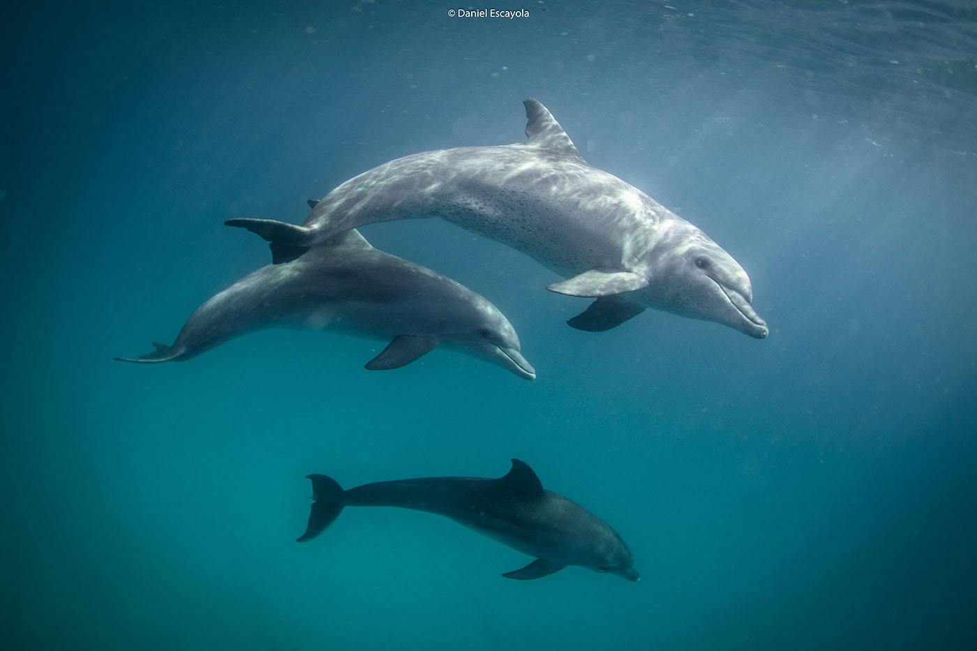 Kisawa Sanctuary en Benguerra Island
