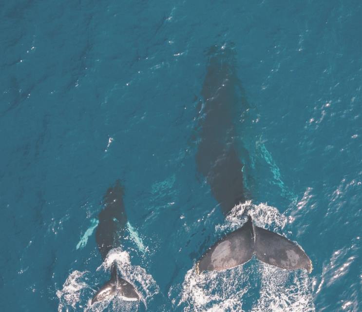 Kisawa Sanctuary en Benguerra Island