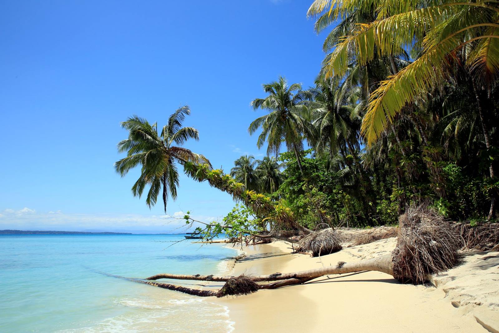 Nayara Bocas del Toro en Bocas del Toro
