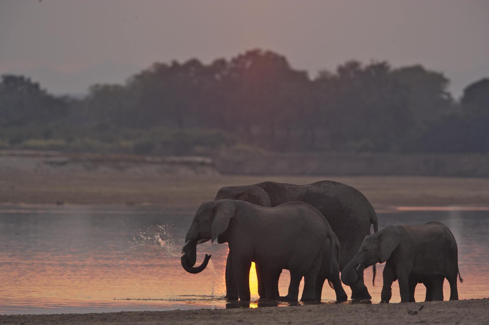 Luangwa Valley