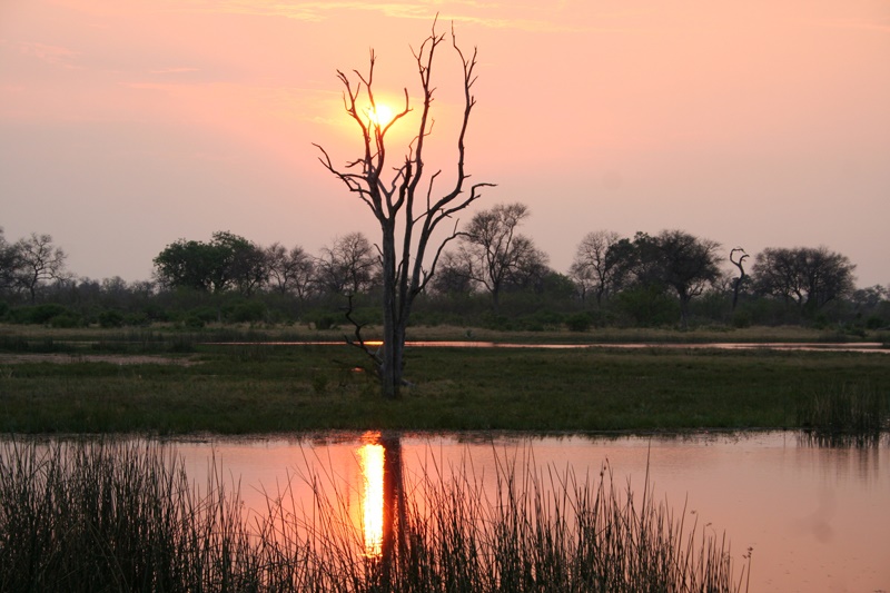 Linyati Tented Camp en Chobe
