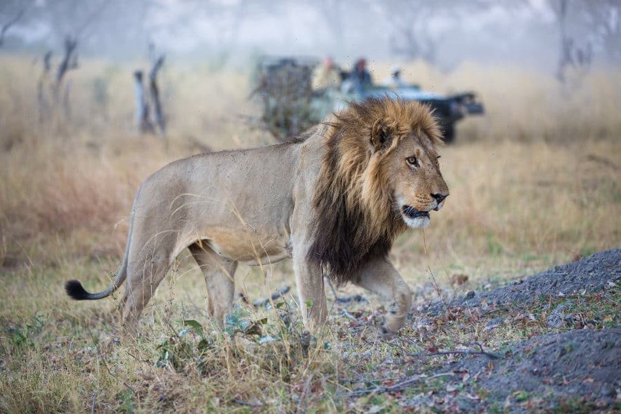 Linyati Tented Camp en Chobe
