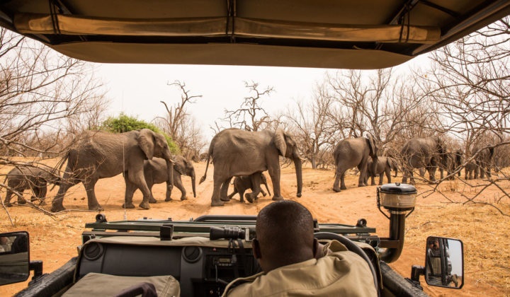 Linyati Tented Camp en Chobe