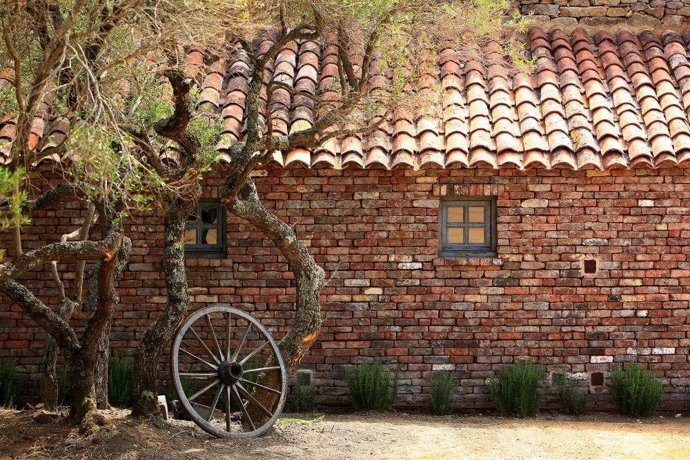 Domaine de Murtoli en Corcega