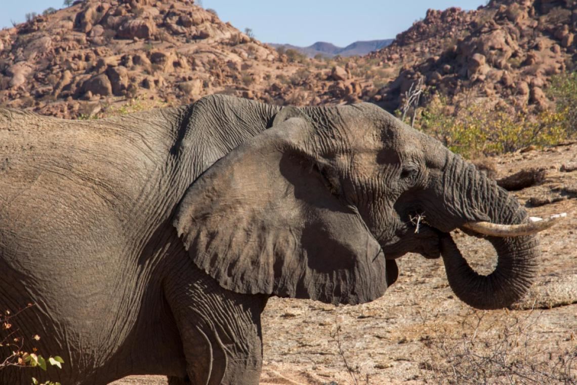 Camp Kipwe en Damaraland