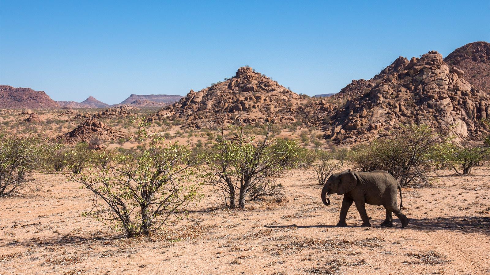 Camp Kipwe en Damaraland