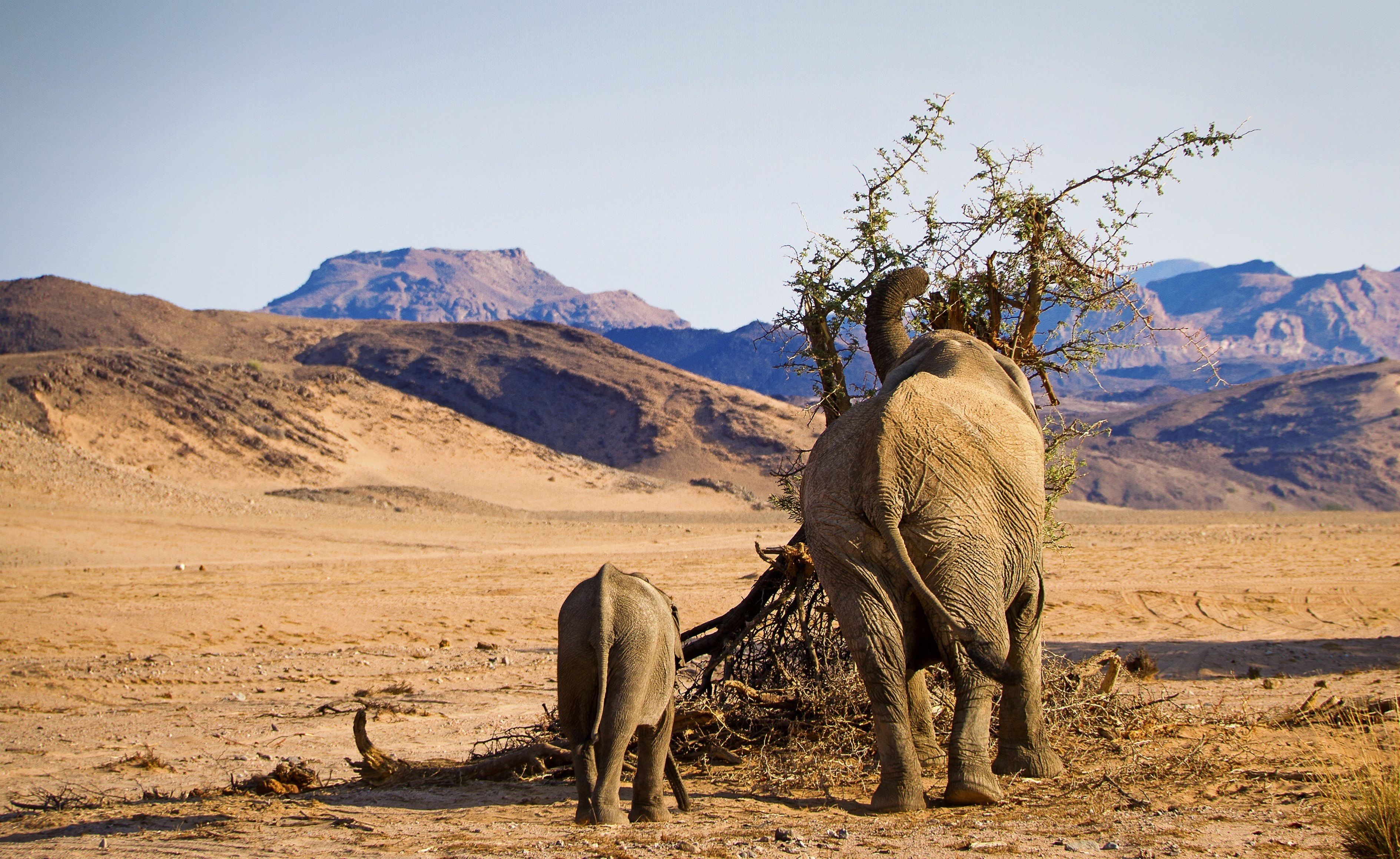 Twyfelfontein Country Lodge en Damaraland