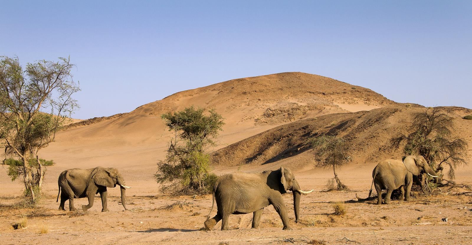 Twyfelfontein Country Lodge en Damaraland