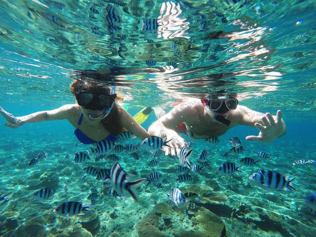 Tropica Island Resort en Fiji