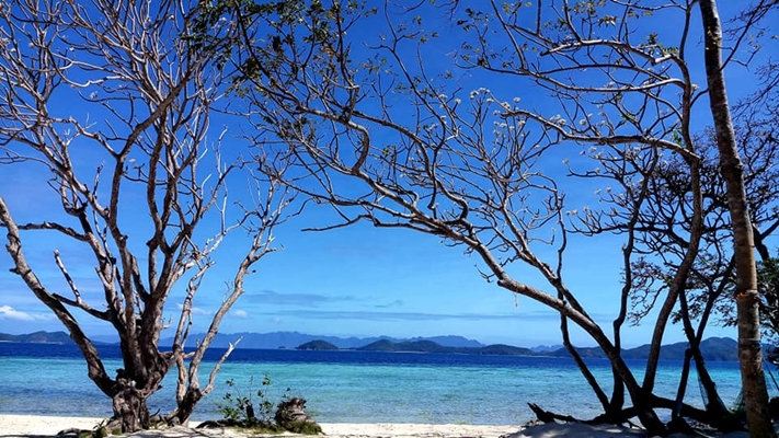 Barco privado Island Hopping en Filipinas General