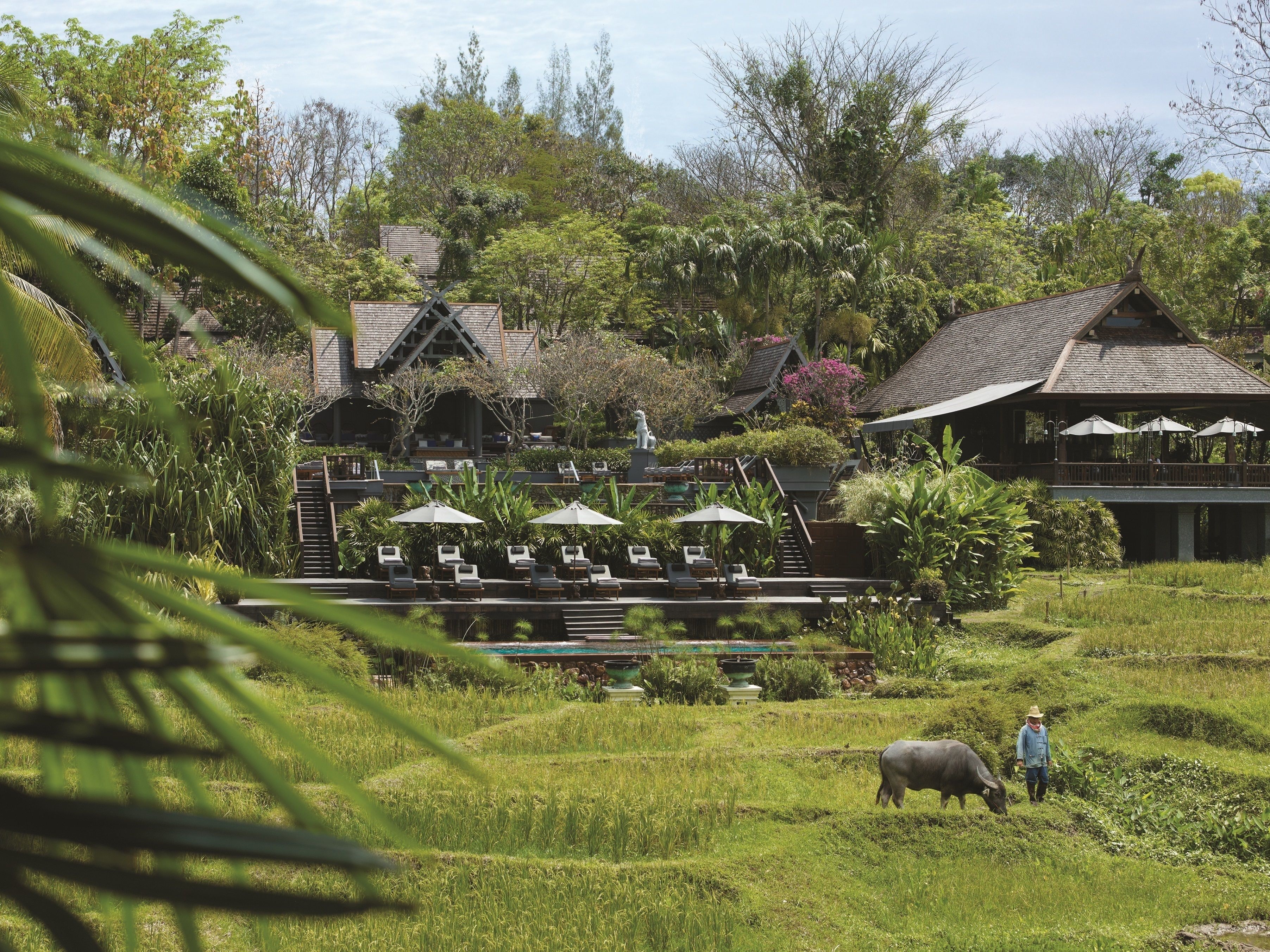 Four Seasons Resort Chiang Mai en Chiang Mai
