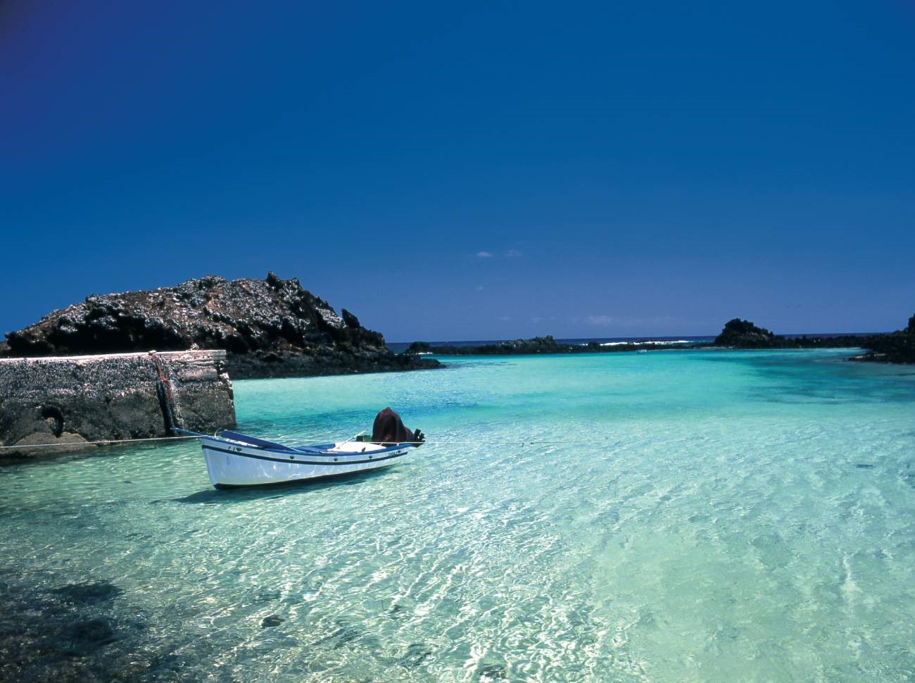 Fuerteventura | LAT.40