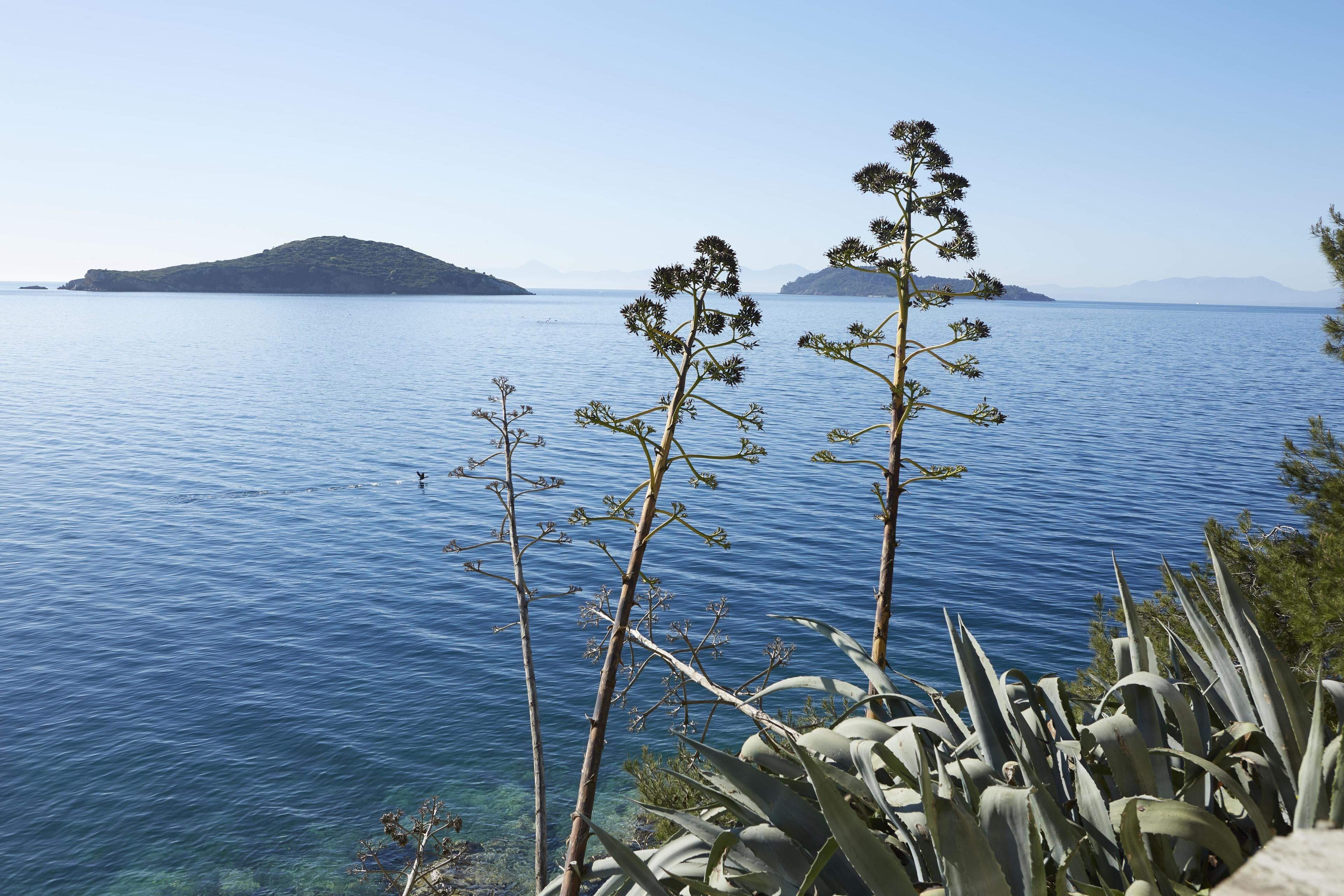Elivi Skiathos en Greece
