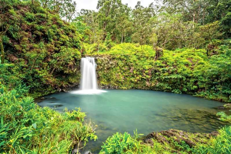 Norwegian Hawaii Cruise en United States