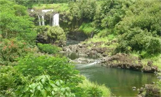 Norwegian Hawaii Cruise en United States