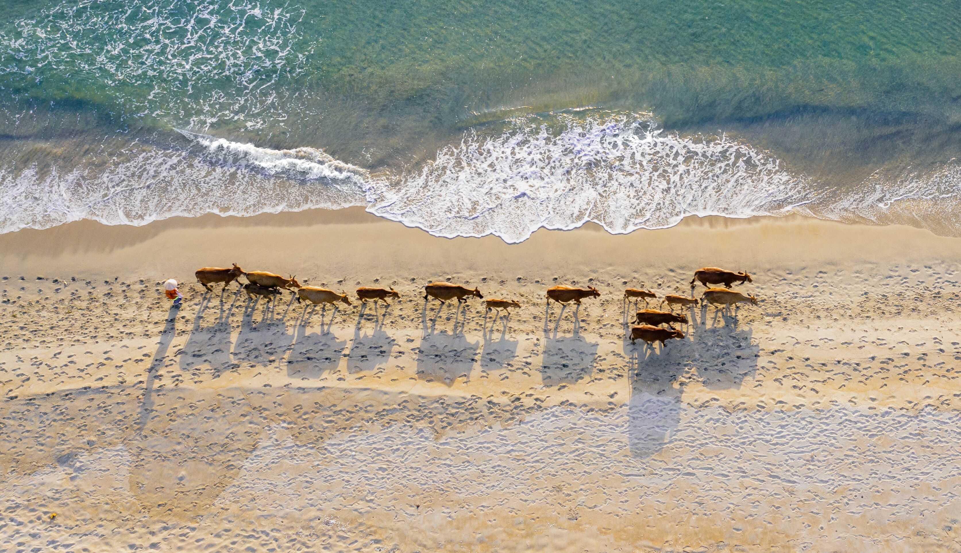Naman Retreat en Hoi An