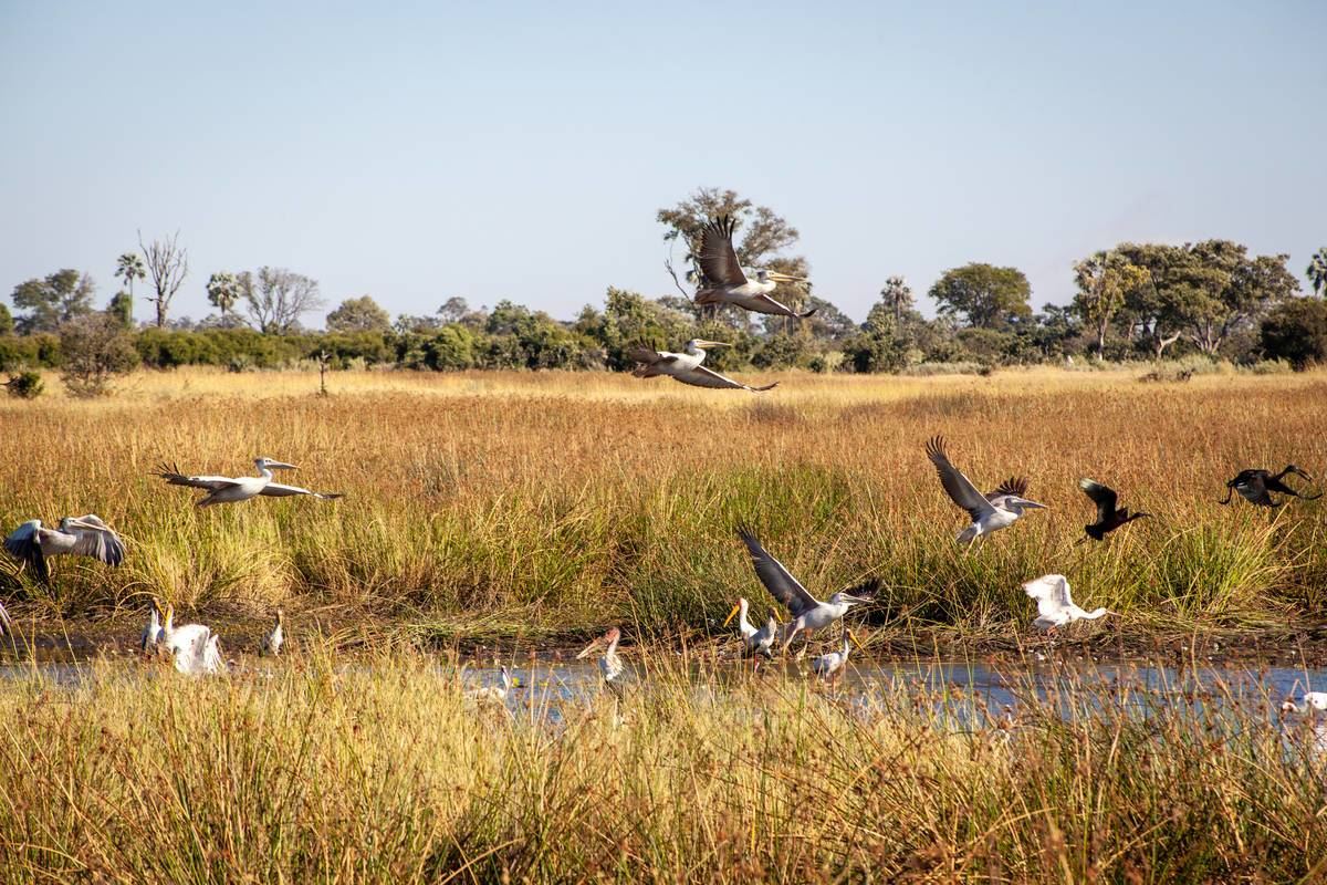 Deteema Springs en Hwange