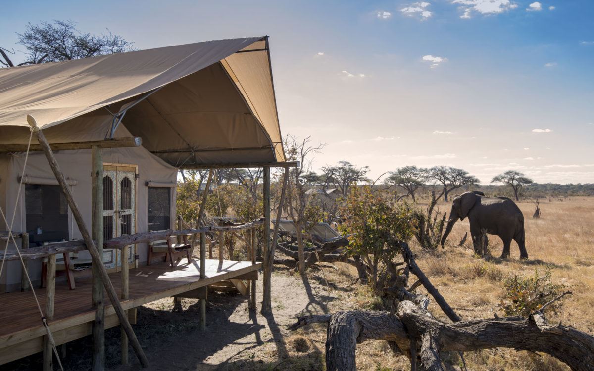 Somalisa Expeditions en Hwange