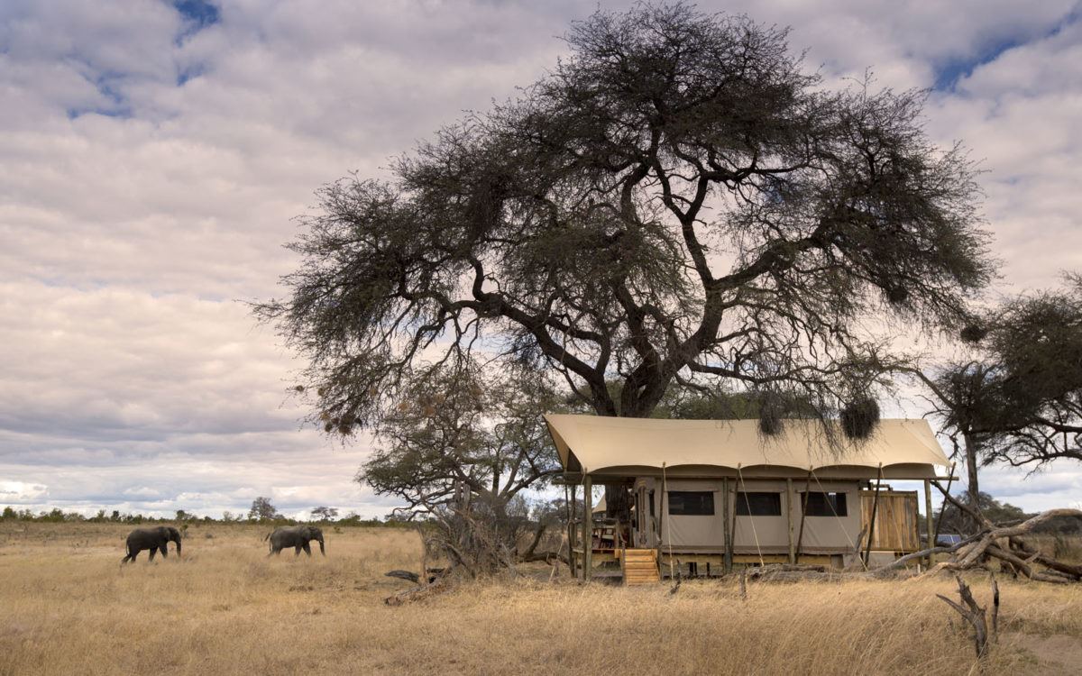Somalisa Expeditions en Hwange
