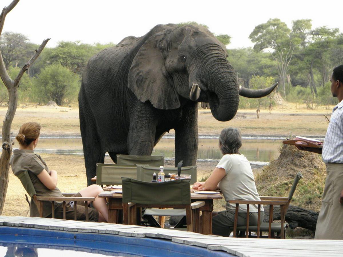 The Hide en Hwange
