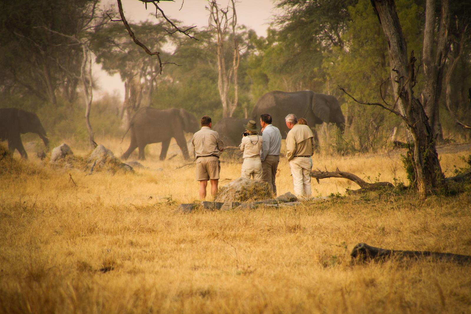 The Hide en Hwange