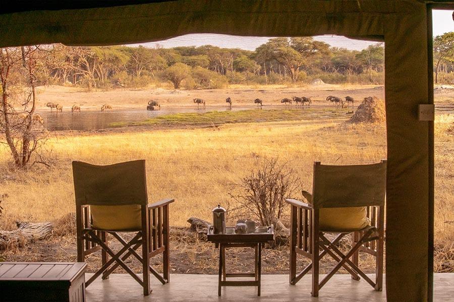 The Hide en Hwange