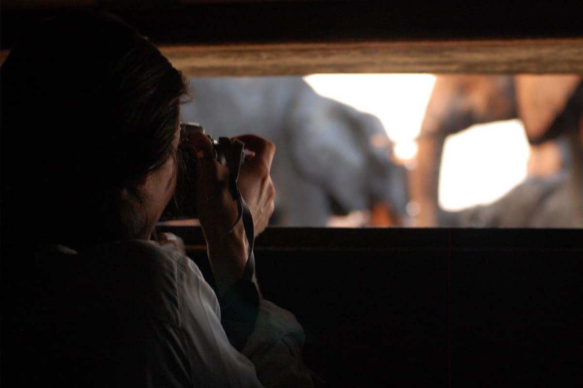 The Hide en Hwange