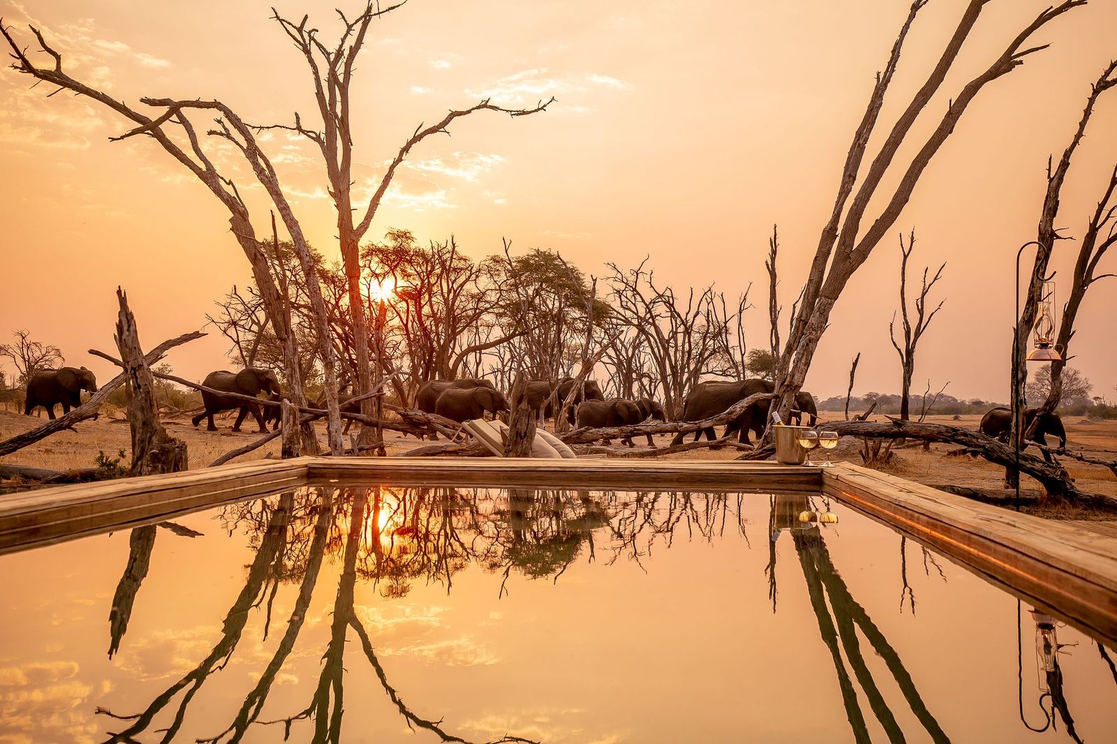 The Hide en Hwange