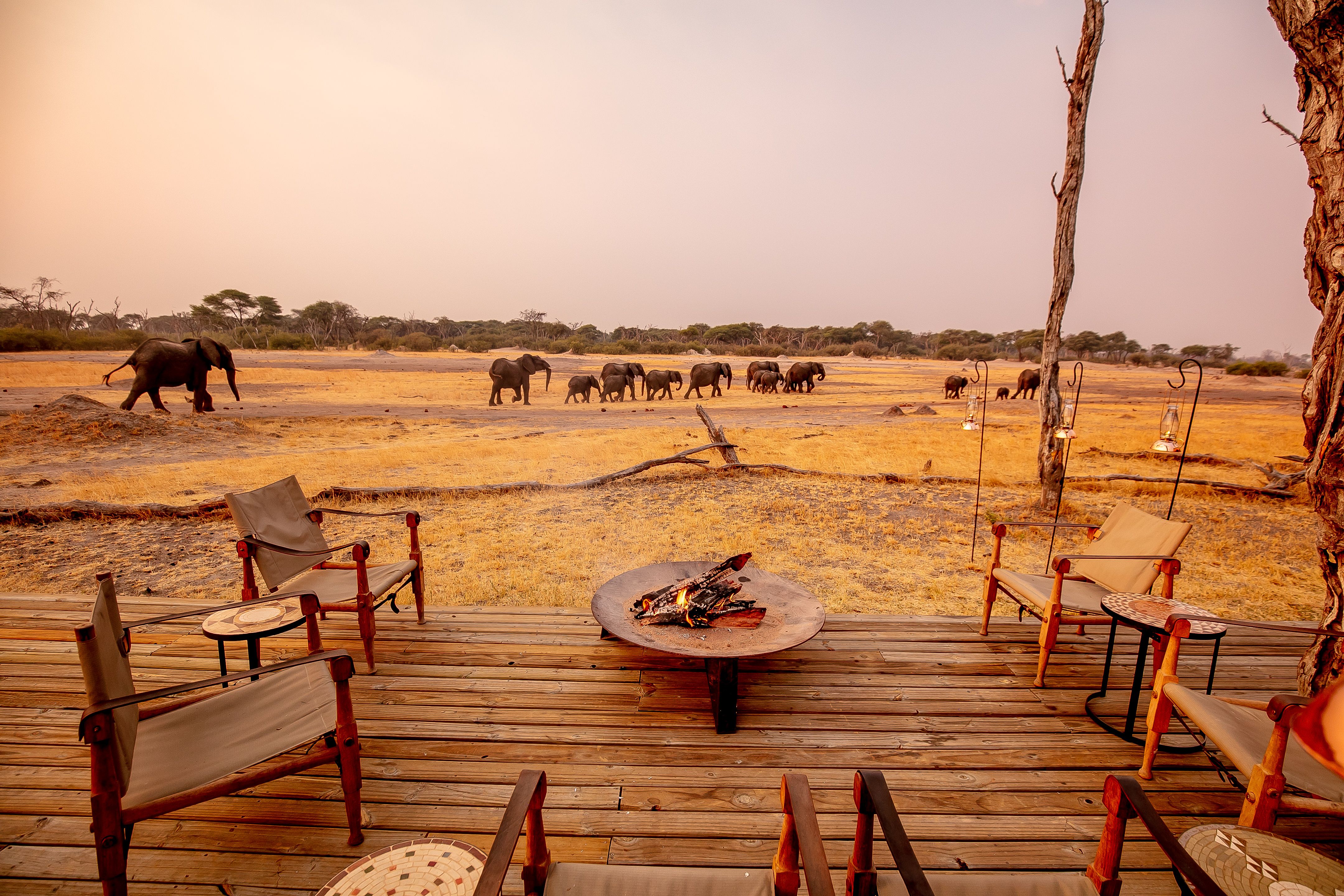 The Hide en Hwange