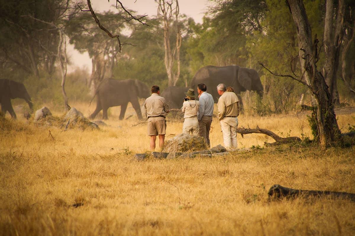 The Hide en Hwange