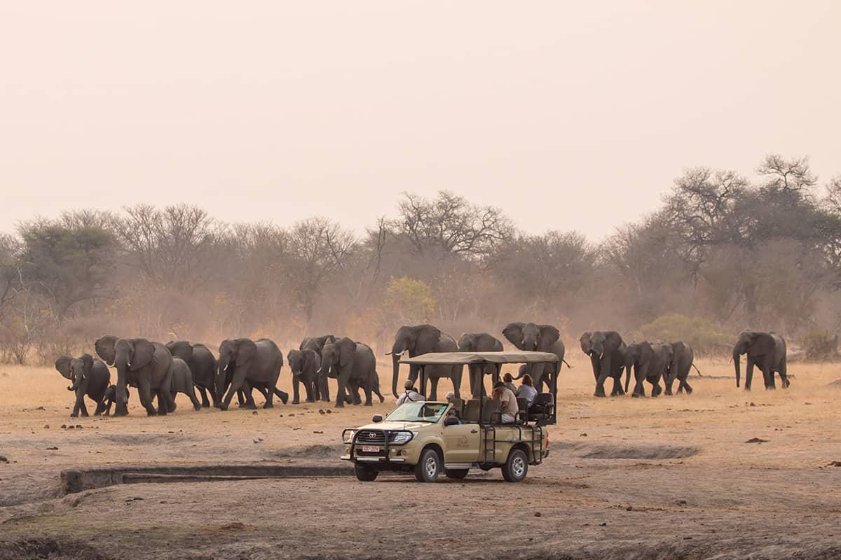 The Hide en Hwange