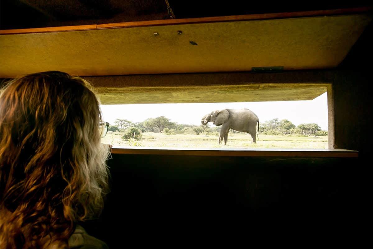 The Hide en Hwange