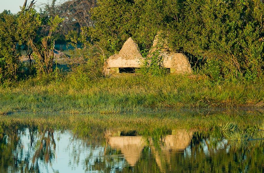 The Hide en Hwange