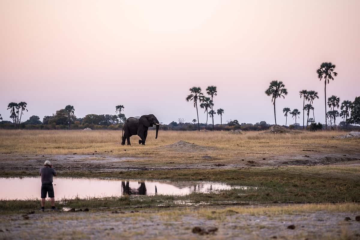 Luna de miel Madagascar (5N), Luangwa Valley, Victoria Falls,y Denis Island (5N) diseñado por LAT.40