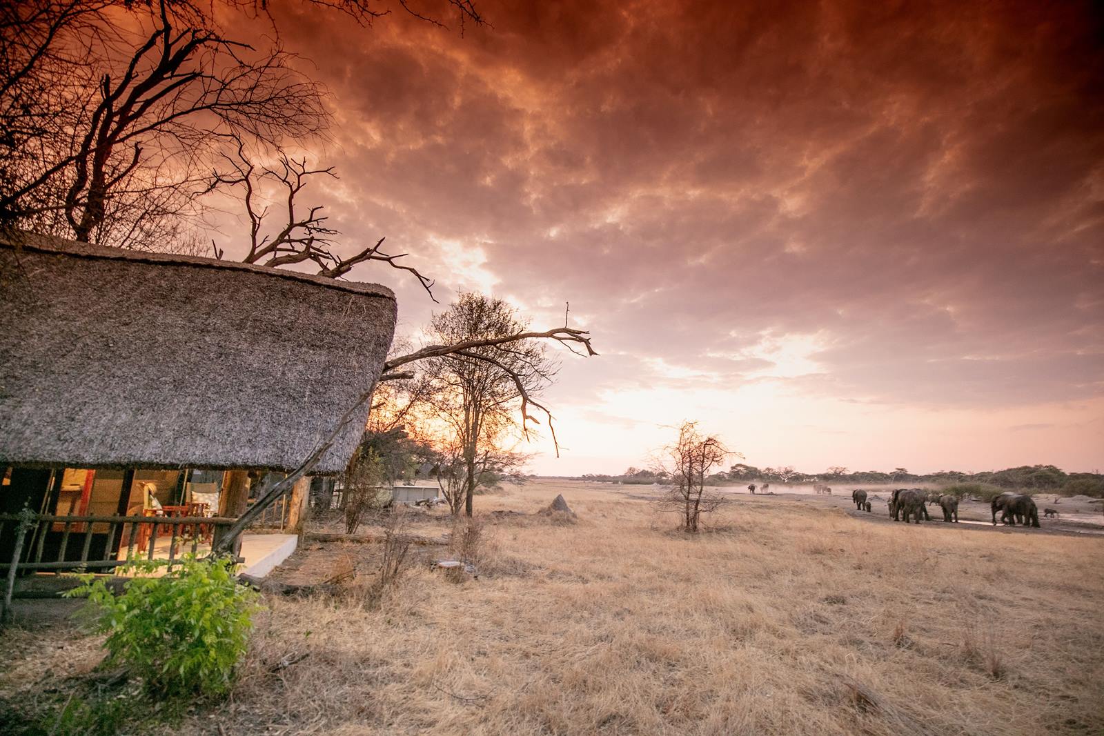 The Hide en Hwange