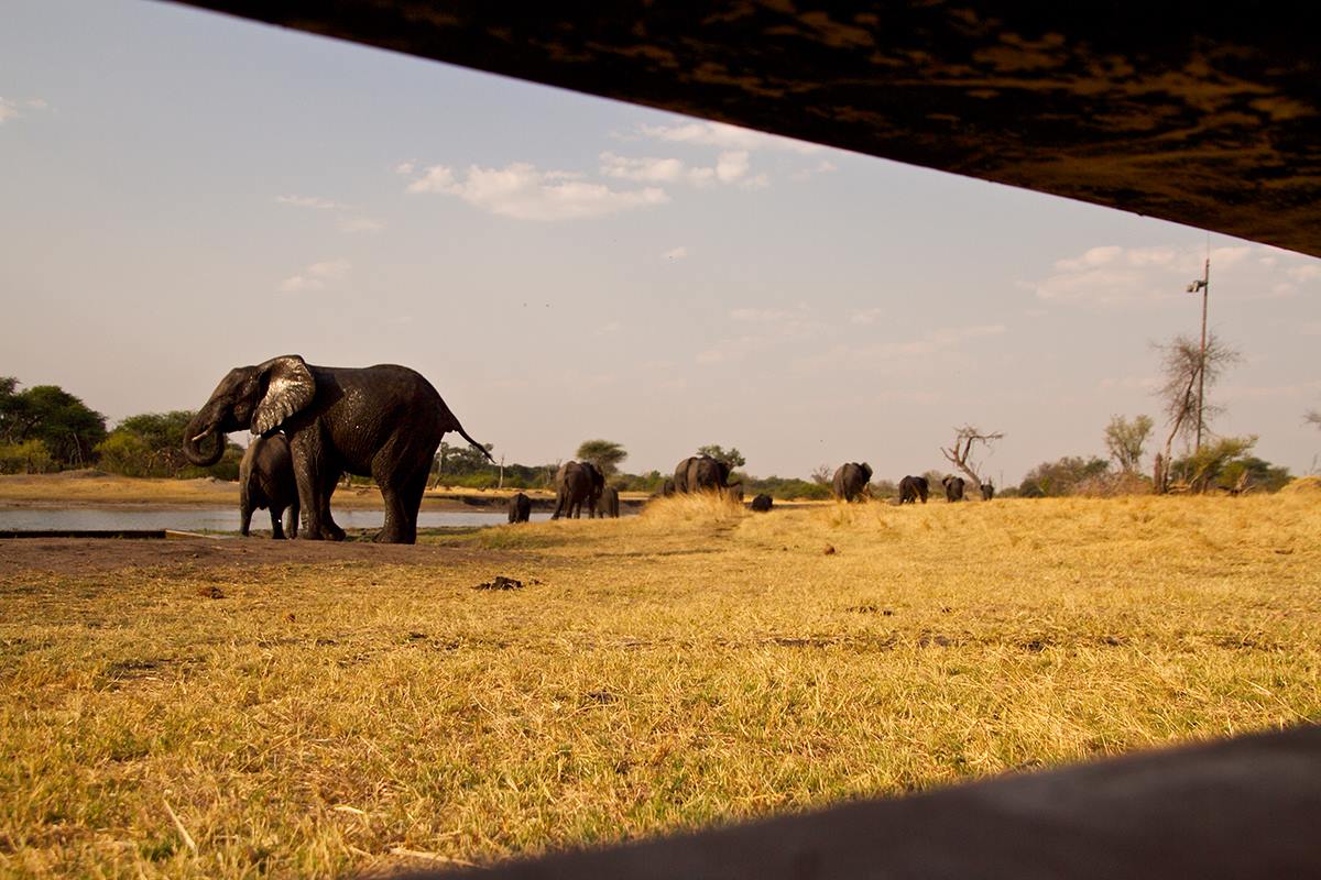 The Hide en Hwange