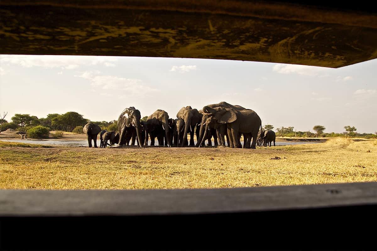 The Hide en Hwange