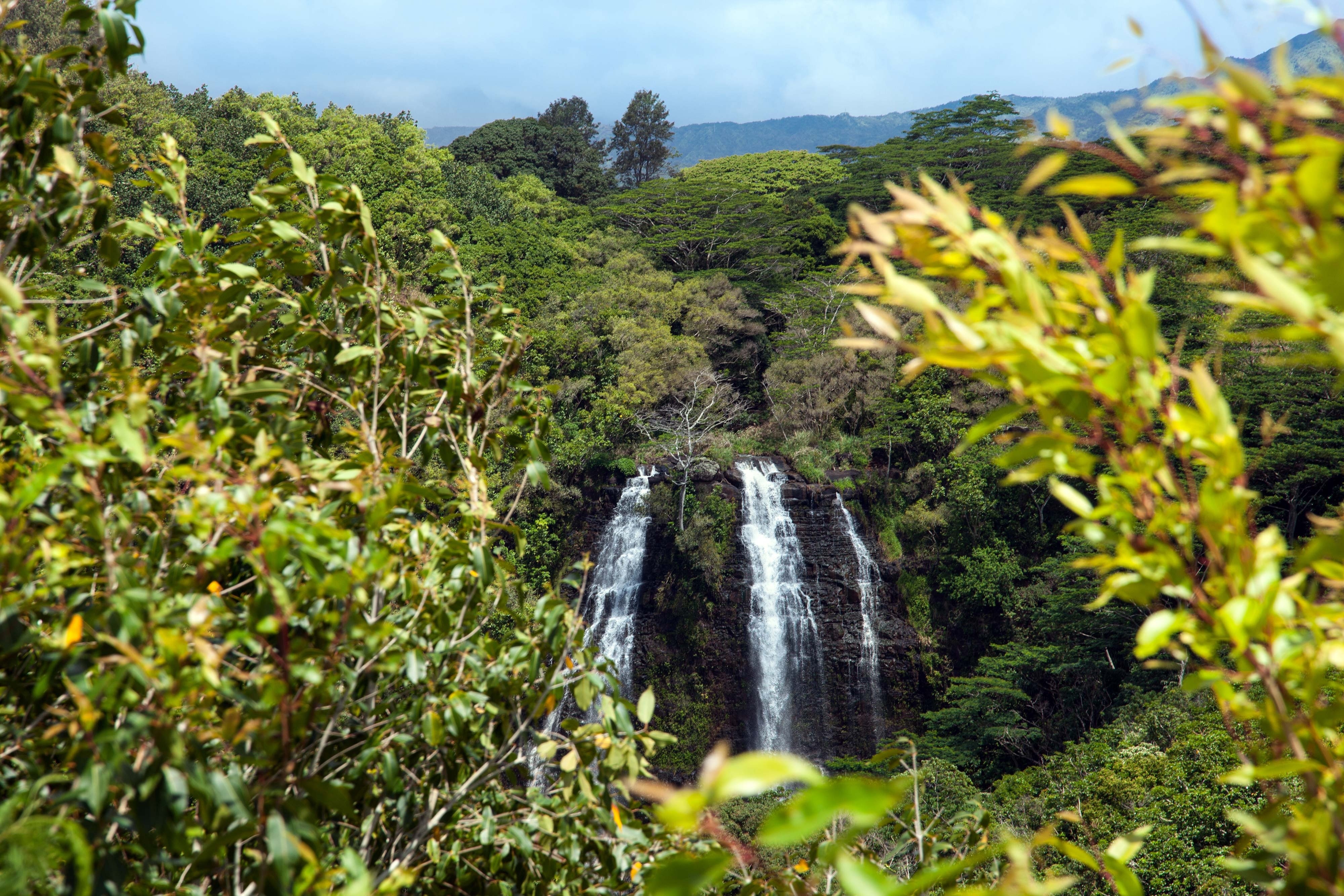 The Westin Princeville Ocean Resort Villas en Kauai