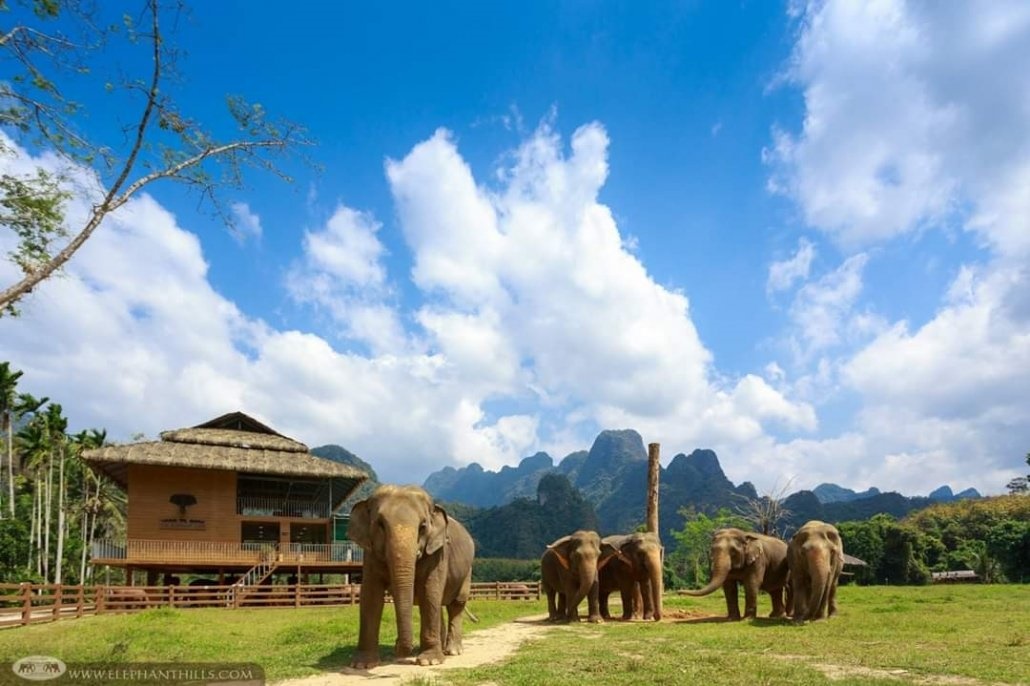 Khao Sok