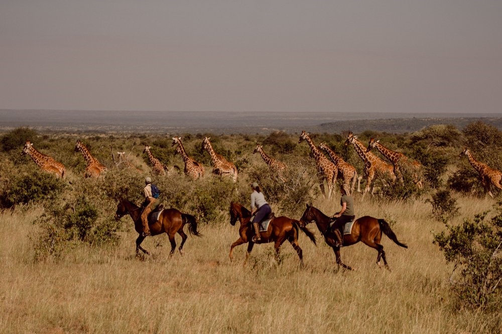 Laikipia