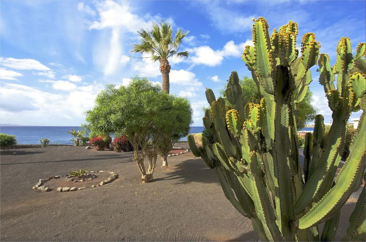 Iberostar Selection Lanzarote Park en Lanzarote
