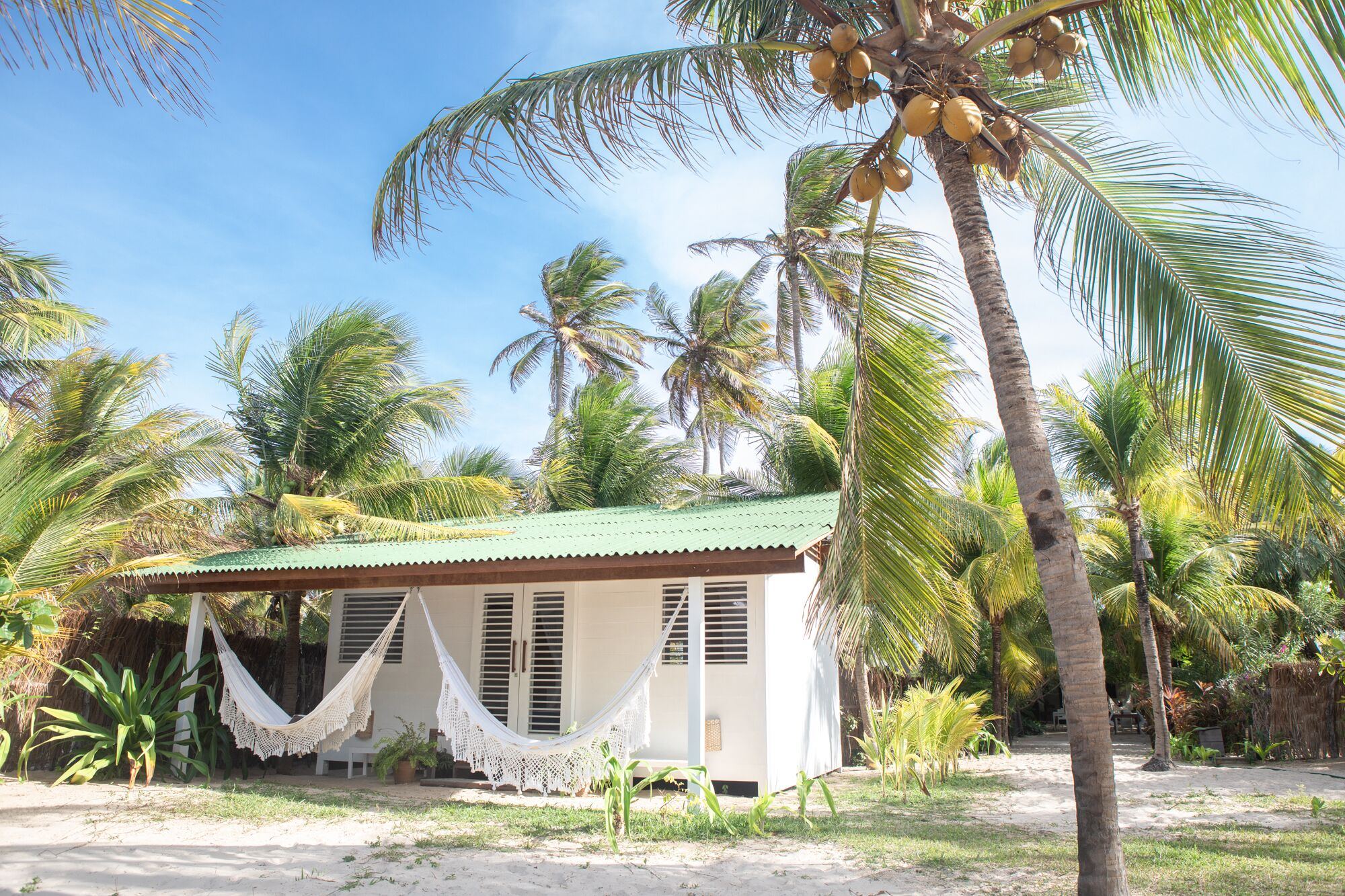 Muita Paz | LAT.40