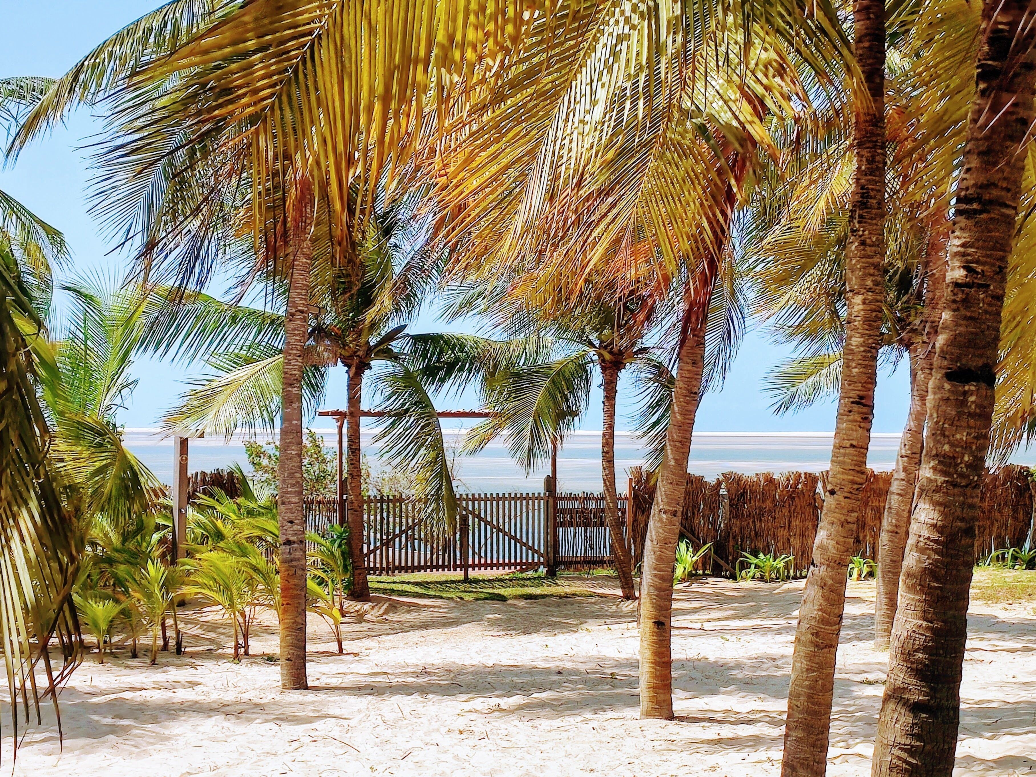 Muita Paz en Lencois Maranhenses