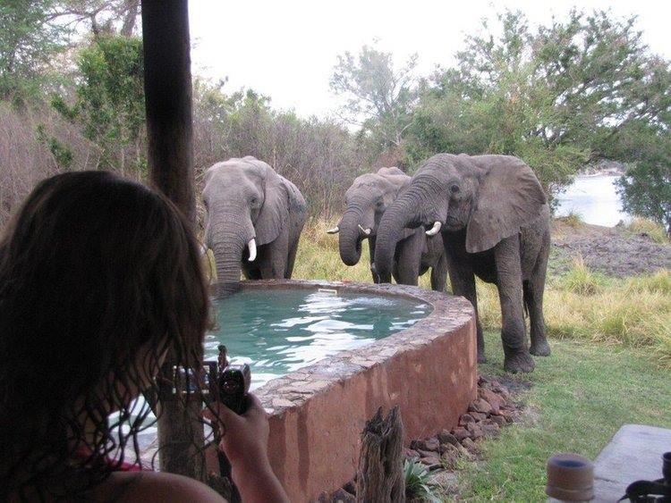 Chundukwa River Lodge en Livingstone