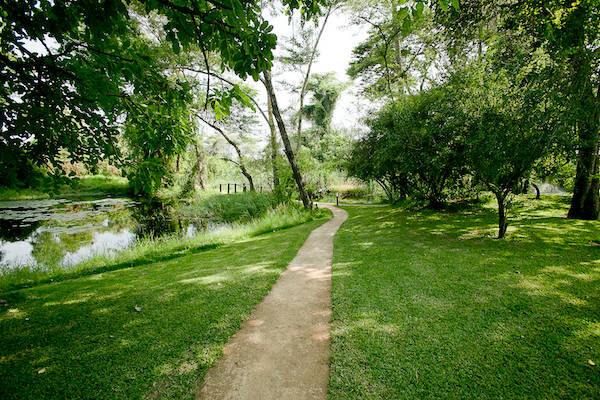 Chundukwa River Lodge en Livingstone