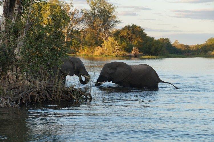Chundukwa River Lodge en Livingstone