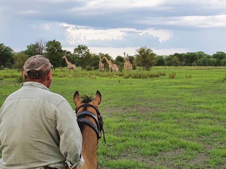 Chundukwa River Lodge en Livingstone
